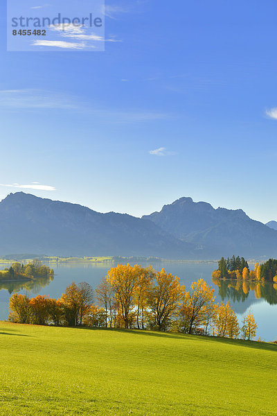 Herbstmorgen am Forggensee bei Roßhaupten  Ostallgäu  Allgäu  Schwaben  Bayern  Deutschland
