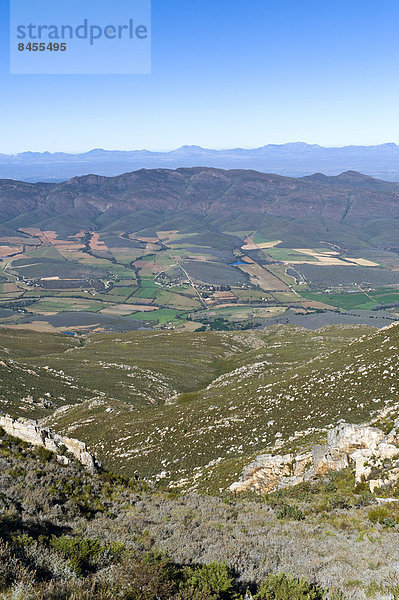 Ausblick nach Norden vom Swartberge Gebirge  UNESCO-Weltnaturerbe  Westkap  Südafrika