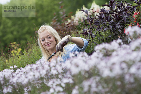 Eine Bio-Blumenpflanzengärtnerei. Eine arbeitende Frau.