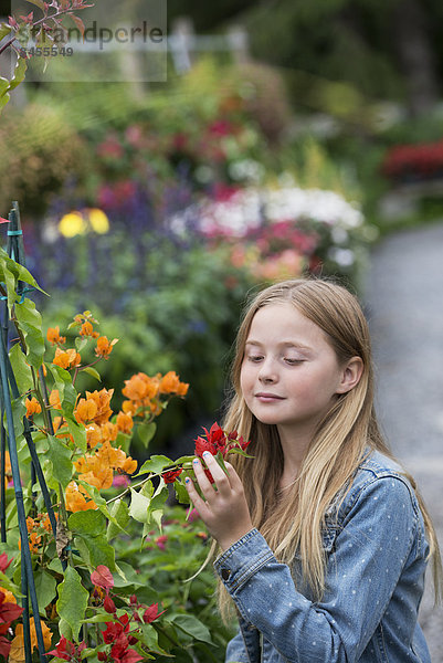 Eine Bio-Blumenpflanzengärtnerei. Ein junges Mädchen betrachtet die Blumen.