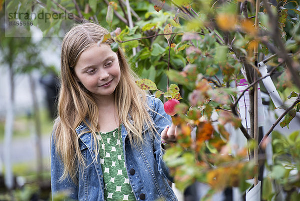 Eine Bio-Blumenpflanzengärtnerei. Ein junges Mädchen betrachtet die Blumen.
