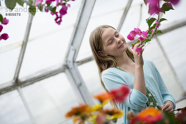 Eine Bio-Blumenpflanzengärtnerei. Ein junges Mädchen betrachtet die Blumen.