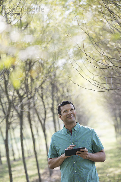 Ein Mann steht in einer Baumallee und hält ein digitales Tablett in der Hand.