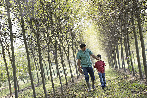 Ein Mann und ein Junge gehen eine Baumallee entlang.