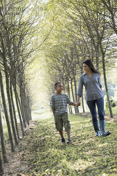 Eine Frau und ein Junge halten sich an den Händen und gehen im Wald spazieren.