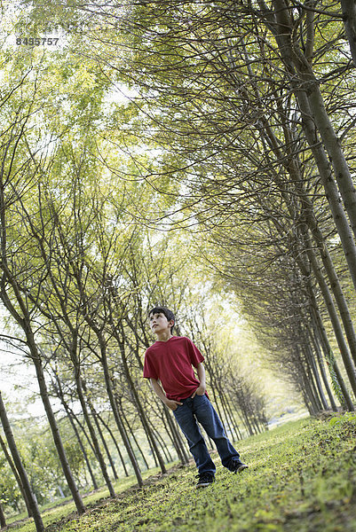 Ein kleiner Junge im Wald  der sich neugierig umsieht.