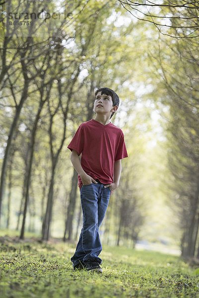 Ein kleiner Junge im Wald  der sich neugierig umsieht.