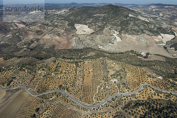 Luftbild  Felder in der Region Sierra de Cádiz  Andalusien  Spanien