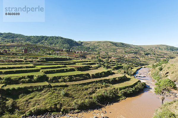 Dörfer der Volksgruppe der Merina  Reisfelder in Terrassen oberhalb von einem Fluss  bei Antananarivo  Madagaskar