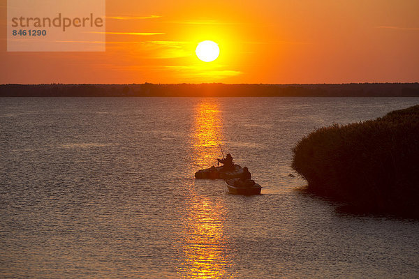 Angler mit Booten bei Sonnenuntergang auf dem Bodstedter Bodden  bei Wieck  Mecklenburg-Vorpommern  Deutschland