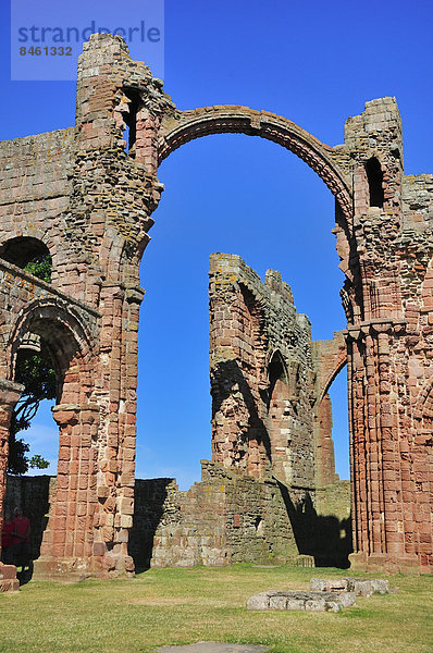 Ruinen des Benediktinerklosters Lindisfarne  Lindisfarne  Northumbria  England  Großbritannien