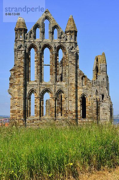 Die Ruine von Whitby Abbey  inspirierte Bram Stoker zu seinem Meisterwerk Dracula  Whitby  North Yorkshire  England  Großbritannien