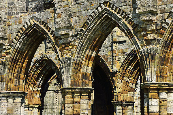 Die Ruine von Whitby Abbey  inspirierte Bram Stoker zu seinem Meisterwerk Dracula  Whitby  North Yorkshire  England  Großbritannien