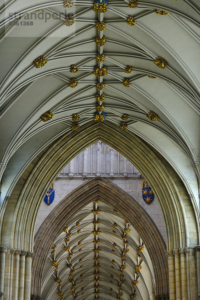 Deckengewölbe des York Minster  offiziell The Cathedral Church of St Peter  York  North Yorkshire  England  Großbritannien