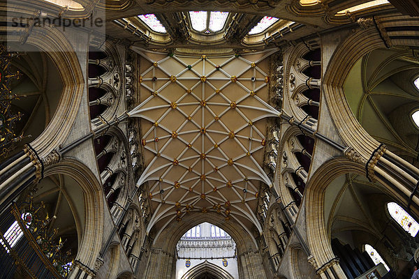 Das spätgotische Netzrippengewölbe im York Minster  offiziell The Cathedral Church of St Peter  York  North Yorkshire  England  Großbritannien