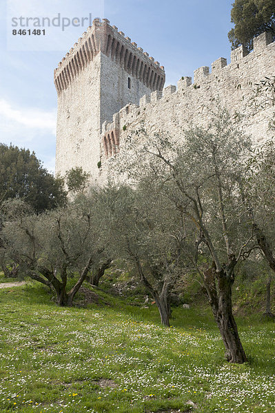 Festungsmauer mit Turm  Castello del Leone  1247  Castiglione del Lago  Umbrien  Italien