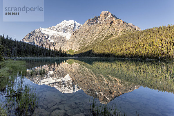 Mount Edith Cavell mit Spiegelung  Jasper-Nationalpark  Kanada
