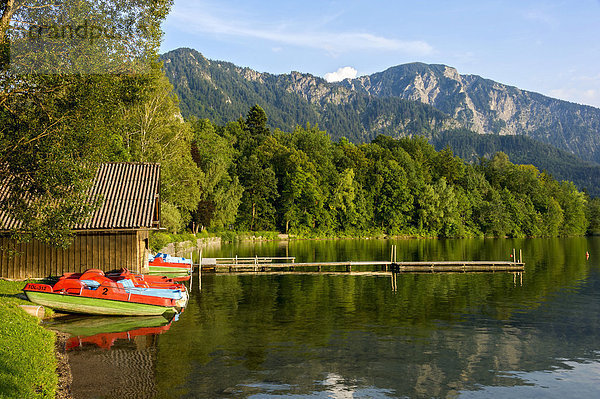 Tretboote am Ufer des Kochelsees  Kochel am See  Oberbayern  Bayern  Deutschland