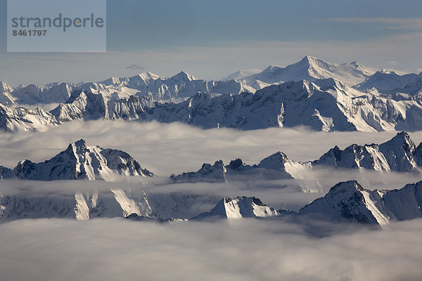Die Bergspitzen der Zillertaler Alpen ragen über das Nebelmeer  hinten die Venedigergruppe  Hohe Tauern  vom Hintertuxer Gletscher  Zillertal  Tirol  Österreich