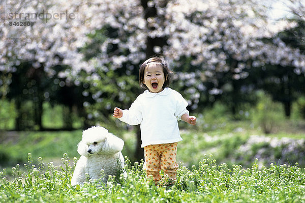 Japanese kid