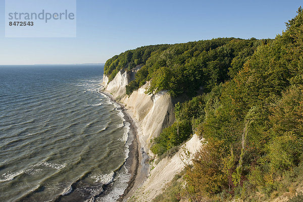 Steilküste Wald Buche Buchen Mecklenburg-Vorpommern Kreide Ostsee Baltisches Meer Deutschland Nationalpark Jasmund
