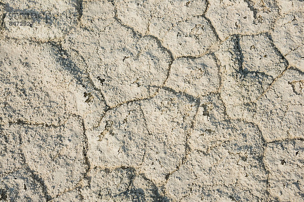 Ausgetrockneter Boden  Etosha-Pfanne  Etosha Nationalpark  Namibia