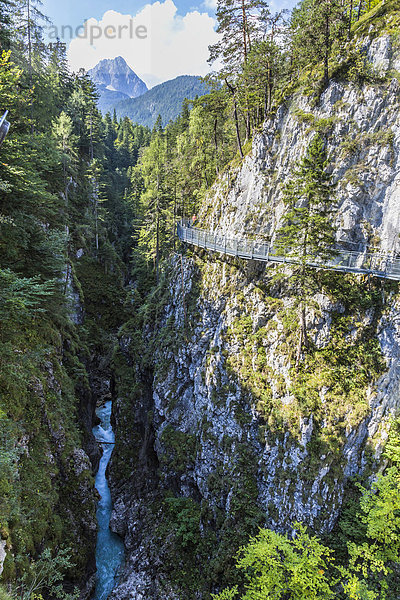 Leutaschklamm  Mittenwald  Alpen  Bayern  Deutschland