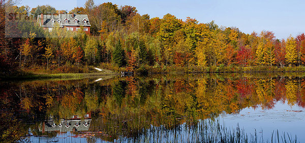 zwischen inmitten mitten Wohnhaus Baum Herbst Biber Kanada Teich Quebec