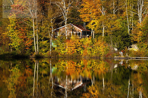 zwischen inmitten mitten Baum Herbst Kanada Teich Quebec