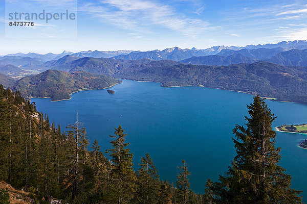 Ausblick vom Herzogstand auf den Walchensee  Herzogstand  Bayern  Deutschland