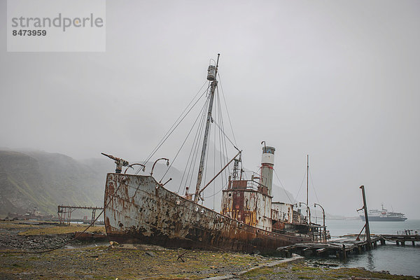Das Wrack der Petrel  eines ehemaligen Walfängers in der 1965 verlassenen Walfangstation Stromness in der King-Edward-Bucht der heute unbewohnten Insel  Südgeorgien und die Südsandwichinseln