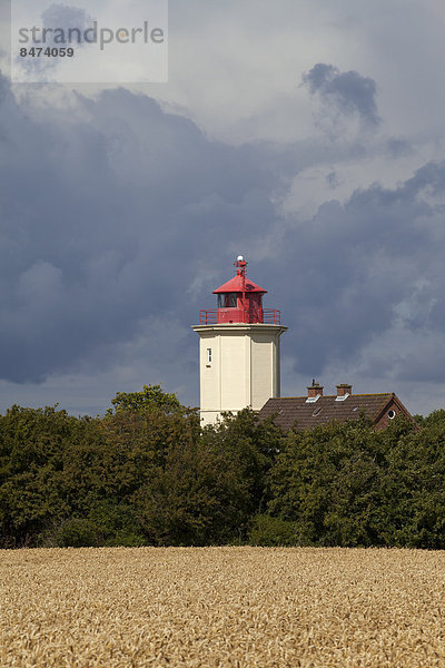 Leuchtturm Westermarkelsdorf  Insel Fehmarn  Schleswig-Holstein  Deutschland