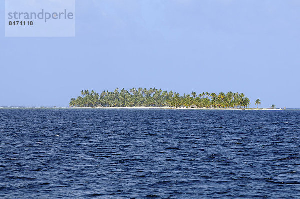 Einsame Insel mit Palmen  Lemon Cays  San-Blas-Inseln  Karibik  Panama