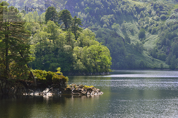 Uferlandschaft am Loch Katrine  Stirling  Central  Schottland  Großbritannien