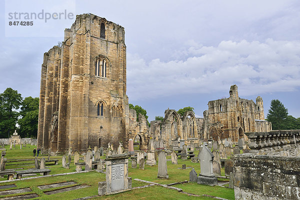 Ruine der Elgin Cathedral  Elgin  Moray  Grampian  Schottland  Großbritannien