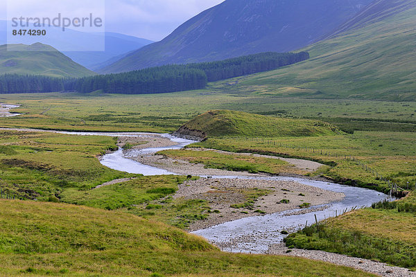 Typische Landschaft am Clunie Water  Braemar  Aberdeenshire  Grampian  Schottland  Großbritannien