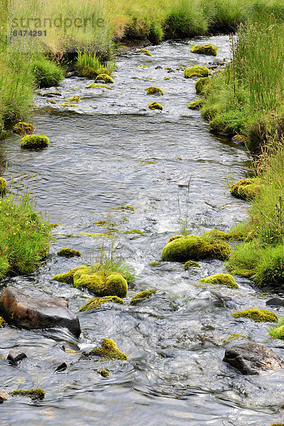 Flusslandschaft  Moray  Grampian  Schottland  Großbritannien