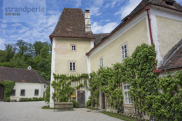 Innenhof  Burg Clam  Klam  Oberösterreich  Österreich