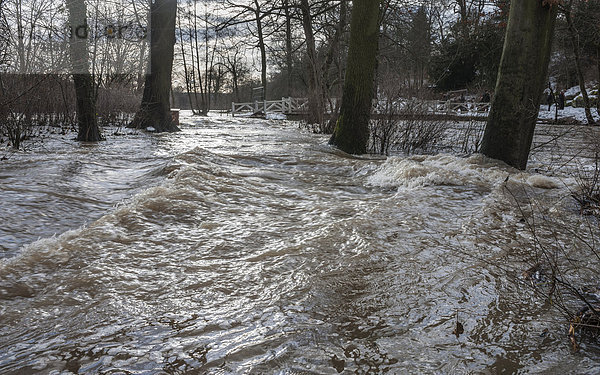 Hochwasser der Ilm  Bäume stehen im Wasser  Park an der Ilm  UNESCO Weltkulturerbe  Weimar  Thüringen  Deutschland
