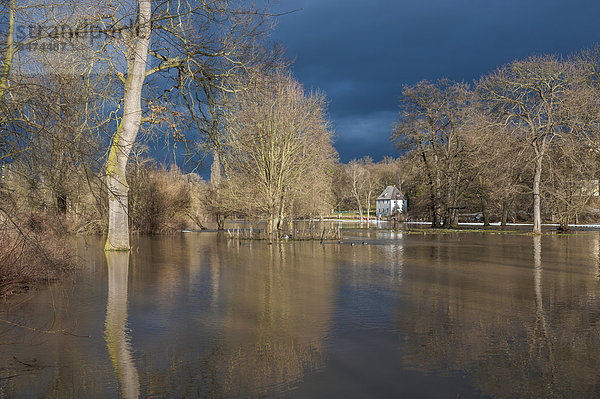 Hochwasser der Ilm  hinten Goethes Gartenhaus  Park an der Ilm  UNESCO Weltkulturerbe  Weimar  Thüringen  Deutschland