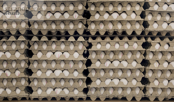 Eier in gestapelten Kartons  Eierfärberei Beham  Thannhausen  Bayern  Deutschland