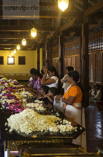 Gläubige beim Beten im Zahntempel Sri Dalada Maligawa  buddhistischer Tempel  Kandy  Zentralprovinz  Sri Lanka