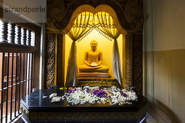 Buddhafigur im Zahntempel Sri Dalada Maligawa  buddhistischer Tempel  Kandy  Zentralprovinz  Sri Lanka