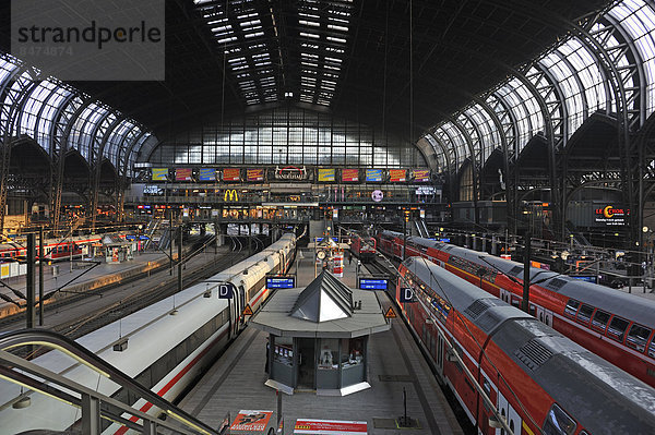 Bahnhofshalle  Hamburger Hauptbahnhof  Hamburg  Deutschland
