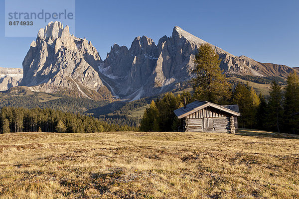 Seiseralm  Langkofel  Plattkofel  Südtirol  Dolomiten  Italien