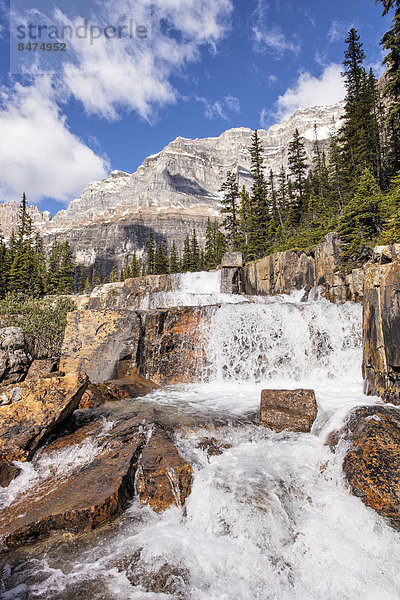 Giant Steps  Wasserfall  Paradise Valley  Banff-Nationalpark  Kanada