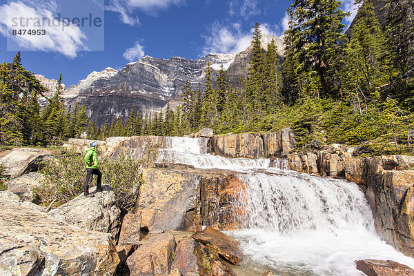 Giant Steps  Wasserfall  Paradise Valley  Banff-Nationalpark  Kanada