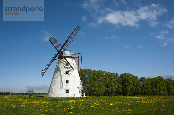 Windmühle  Vihula  Nationalpark Lahemaa  Estland  Baltikum