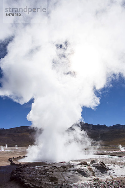 Geysire El Tatio  Anden  Atacama-Wüste  Nordchile  Chile