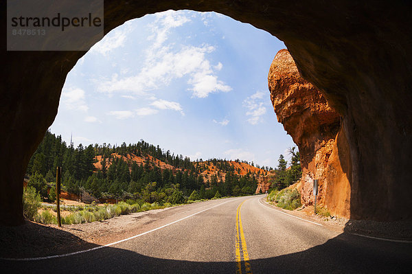 Landschaft  gehen  Tunnel  unterhalb  Fernverkehrsstraße